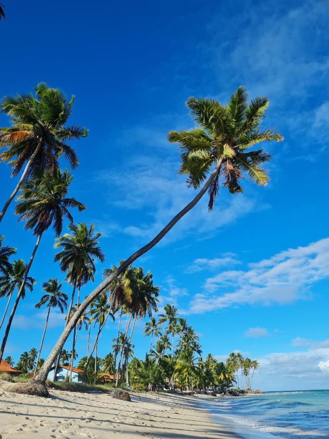 Flat Praia Dos Carneiros Tamandaré Екстериор снимка